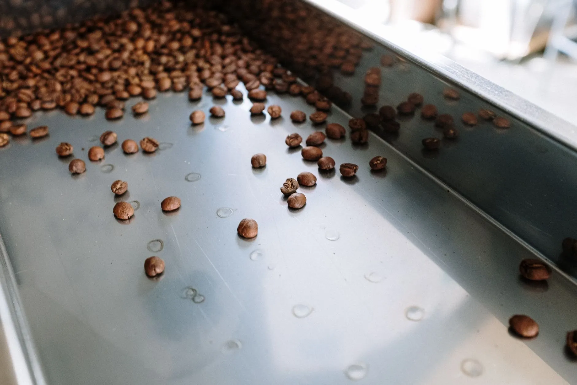 Out of the drum and into the cooling tray in four minutes, then cupped the same afternoon.