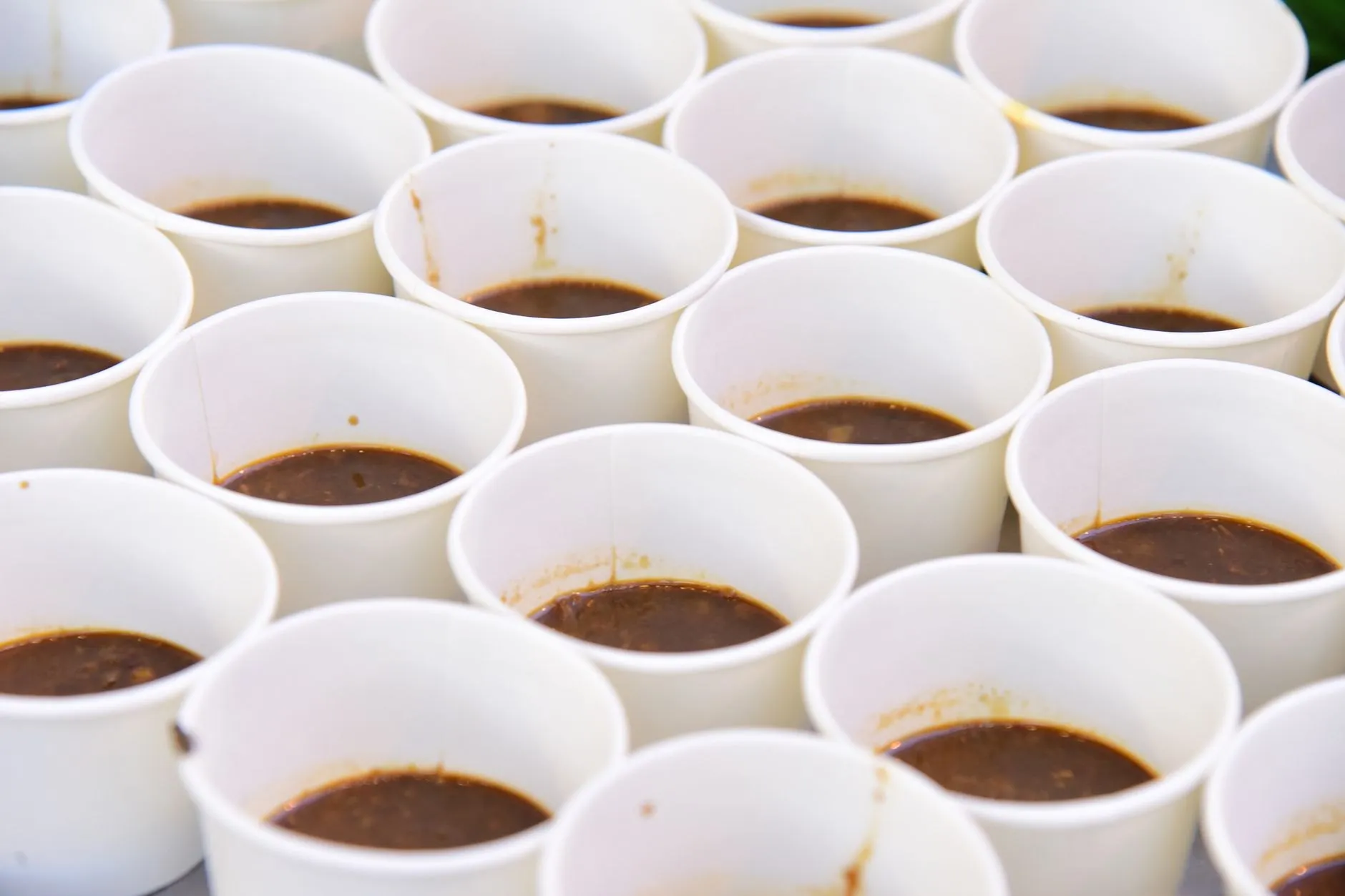 Cupping cups set out for the monthly open tasting