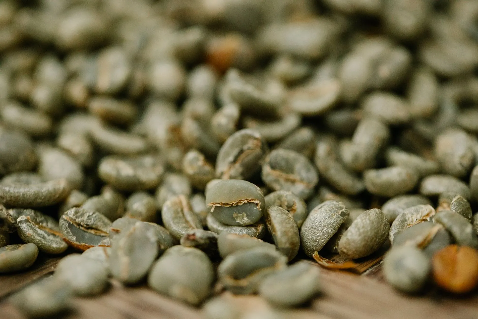 Unroasted green coffee beans drying