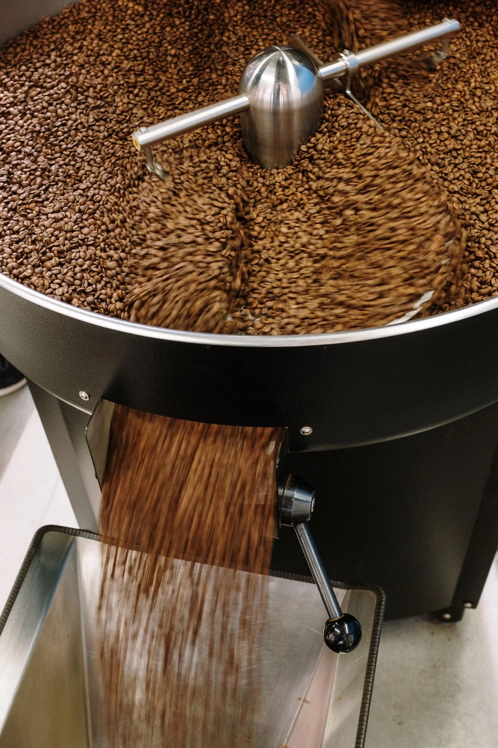 Freshly roasted beans pouring from the drum into the cooling tray