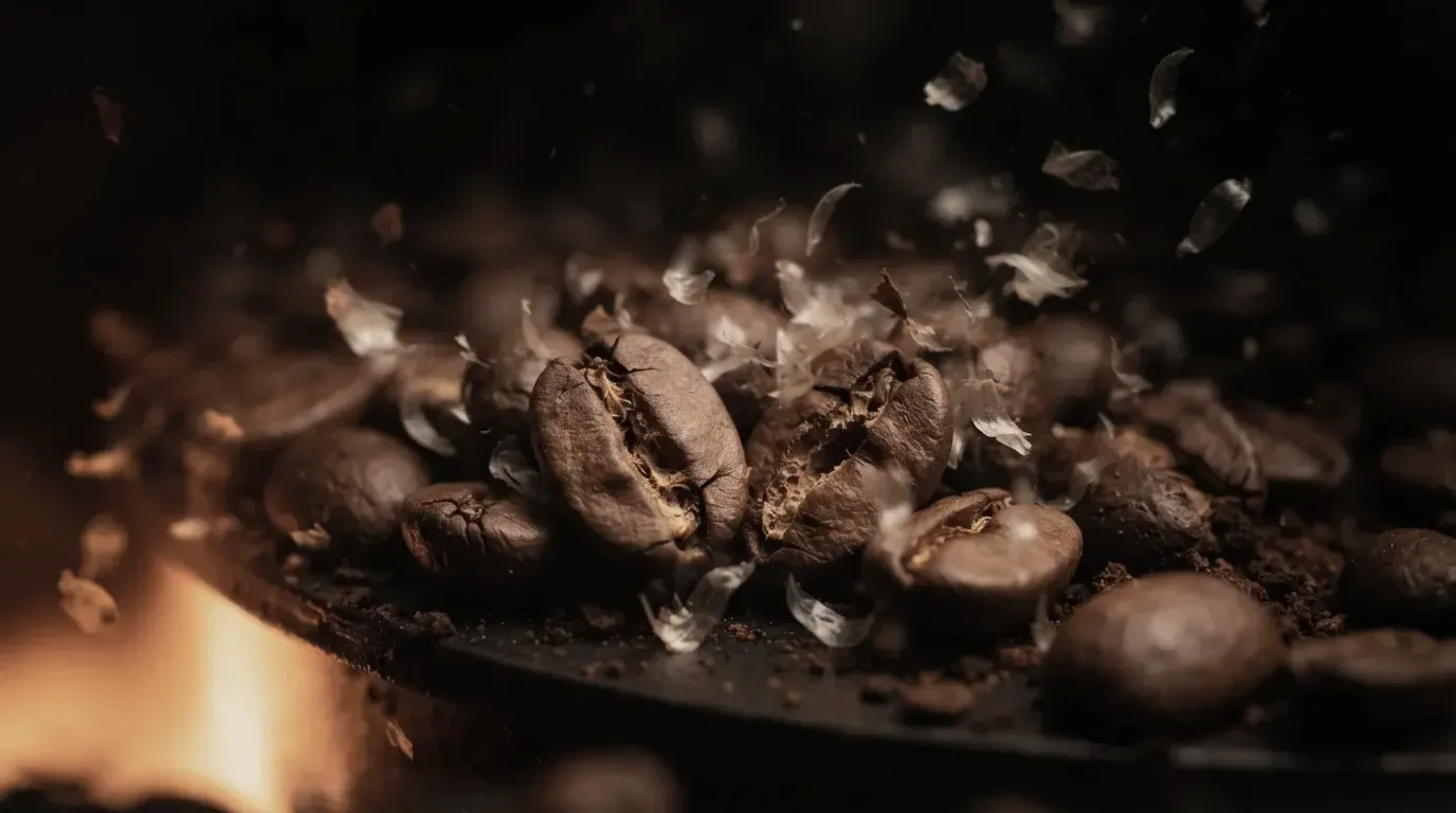 Macro photograph of coffee beans splitting open at first crack with silverskin chaff lifting away